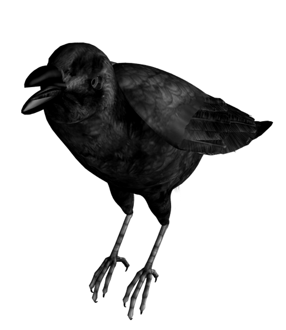 Crow 11 Superior-Stock